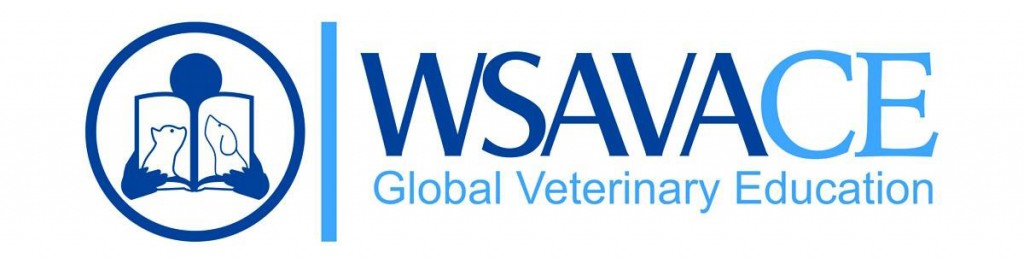 WSAVACE logo